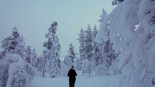 芬兰北极圈拉普兰，小女孩在雪林中探索风景