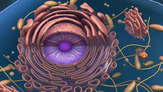 生物医学微观细胞动画
