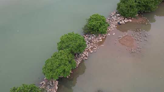 生态湿地保护区航拍