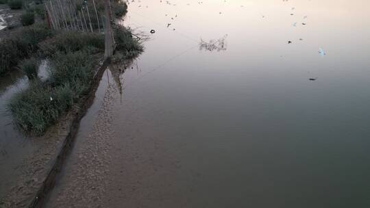 河岸湿地航拍