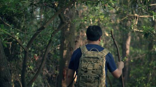 背包徒步旅行在山林行走的男性背影视频素材