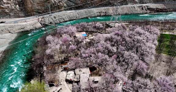 碧绿的河流穿过新疆杏花村 公路边鲜花盛开