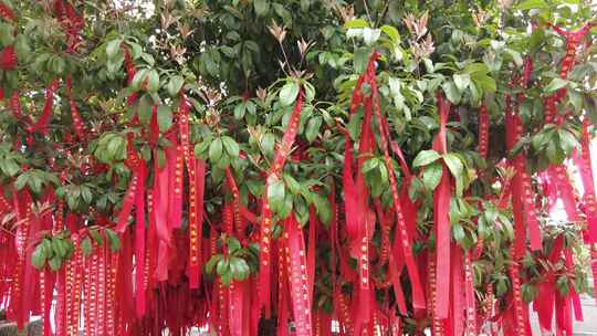 寺庙祈福红丝带实拍