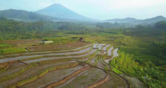 航拍梯田风景