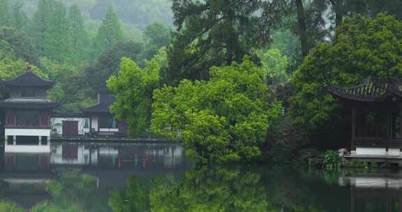 春天杭州西湖园林雨景