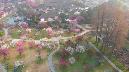 武汉东湖梅园春季风光