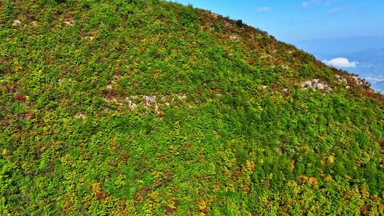 长江三峡巫山段素材