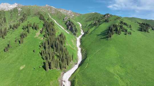 孟克特古道 新疆 雪山草原 旅行自驾