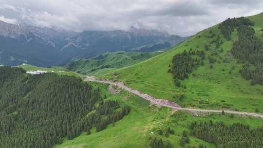 新疆伊犁伊昭公路山谷草原航拍自然风光