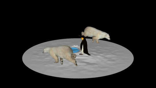 北极熊在雪地里绕着企鹅跑，Alpha通道