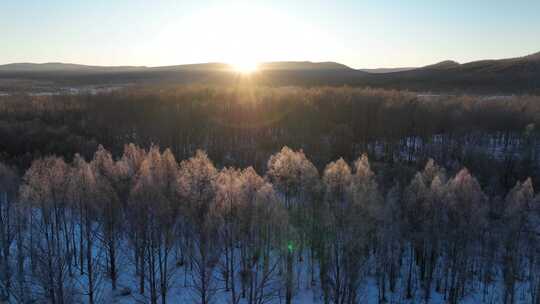 航拍雪原阳光树林雾凇