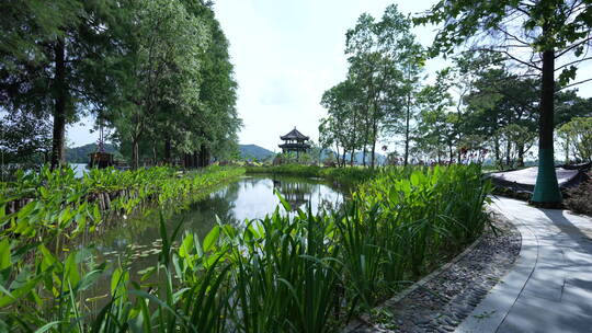 湖北武汉东湖落雁景区