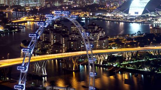 新加坡城市夜景视频素材模板下载