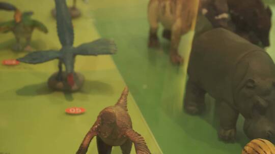 恐龙动物进化演变模型玩具视频素材模板下载