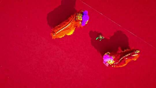 喜庆祥和的舞龙舞狮表演