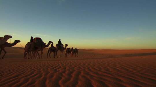 沙漠骆驼队镜头组02视频素材模板下载