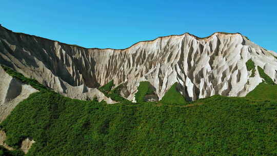 英格兰南海岸白色悬崖的美丽天线。剪辑。绿