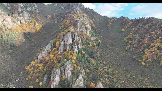 祁连山国家公园4K航拍秋景