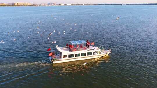 航拍滇池游船与海鸥