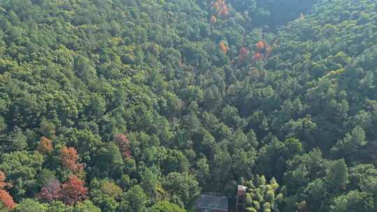 航拍临平山秋天风景