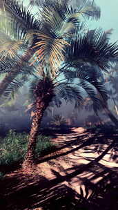 森林中央的棕榈树