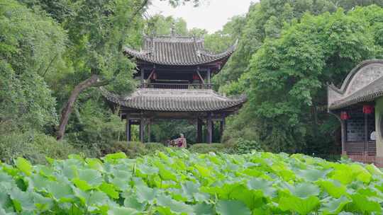 四川眉山三苏祠，苏轼苏东坡故里，中式园林