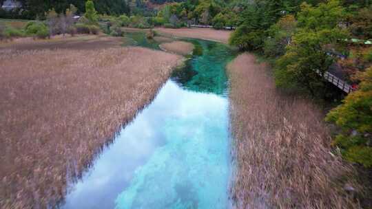 唯美航拍川西九寨沟芦苇海河流湿地湖水彩林