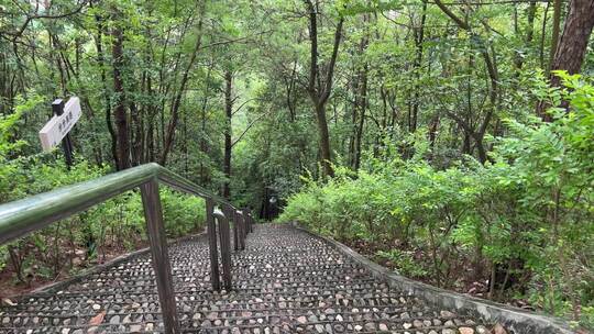 风景山间树林陡坡台阶