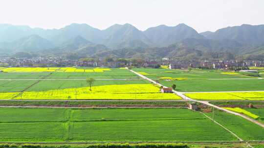 杭州富阳富春江两岸春天风景航拍