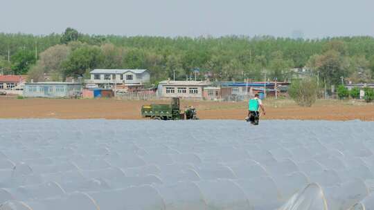 春耕农村塑料地膜香瓜打药喷药