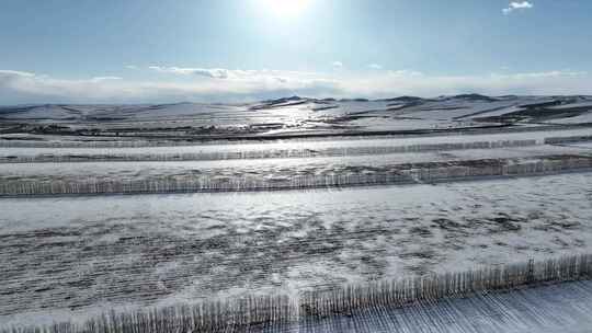 冰雪消融的黑土地