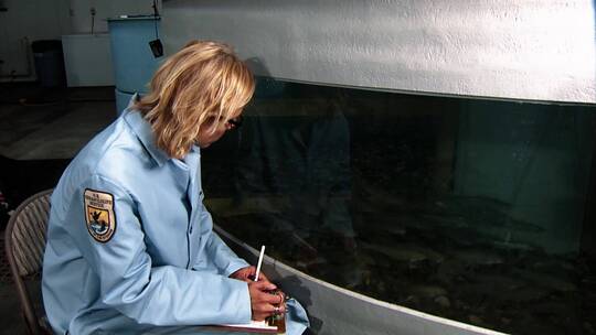 科学家观察小鱼时做笔记视频素材模板下载
