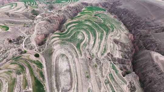 黄土高原 地形 地貌