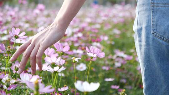 春天女孩手抚摸花朵亲近自然视频素材