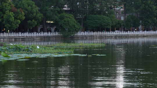 昆明翠湖公园夏天