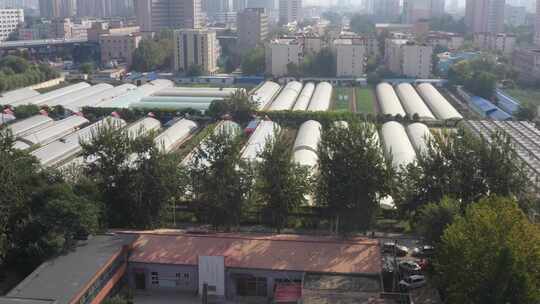 航拍河北农林科学院 夏天 航拍