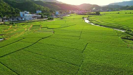 俯瞰乡村田野风光