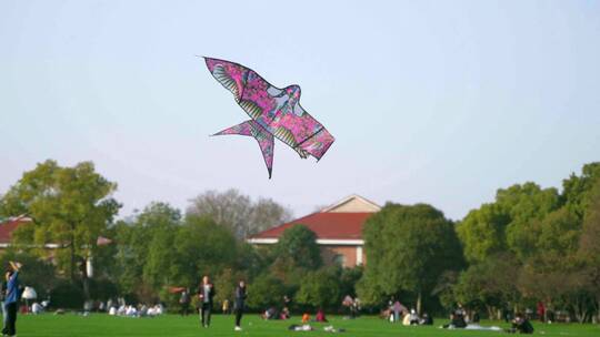 春天放风筝-风筝飞翔视频素材模板下载