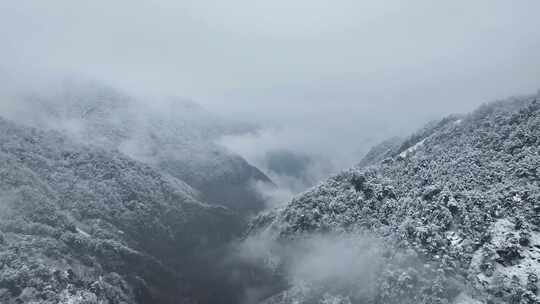 山间雪景雾霭弥漫景象 浙西大峡谷