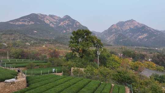 山村的深秋