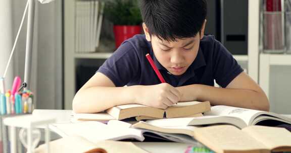 男孩在家中书桌前学习