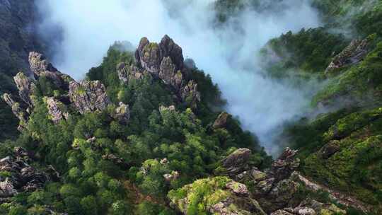 高空航拍黄山山峰奇石云海景观