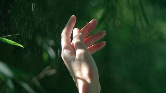 下雨的树林中女孩伸手抚摸雨滴唯美视频素材