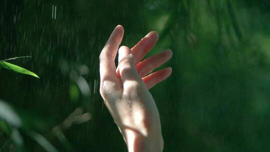 下雨的树林中女孩伸手抚摸雨滴唯美视频素材视频素材模板下载