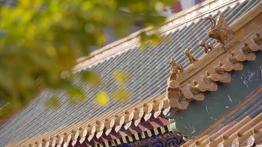 【空镜】4K北京-北方传统琉璃瓦屋顶-多角度