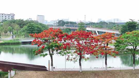 中国广东省佛山市南海区三山新城文翰湖公园