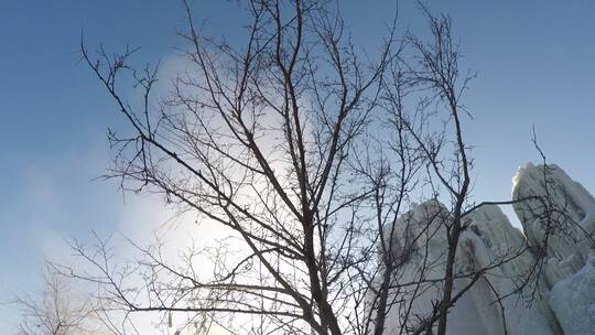 吉林省吉林市松花江边雾凇岛，雾凇景观