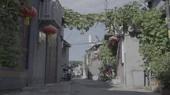 老北京四合院 恭王府