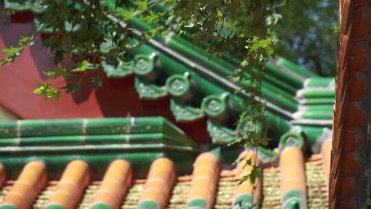 游客参观中国古建筑琉璃瓦明清视频素材模板下载