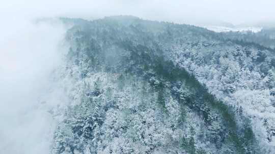 初雪，下雪，山上的雪